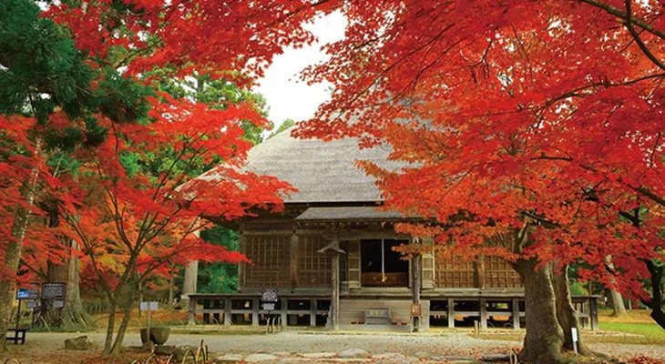 毛越寺